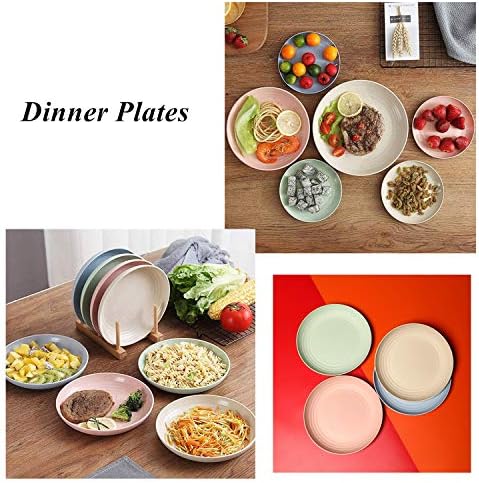 CAMBUY Wheat Straw Plates 8 Pack 8 Inch Reusable Large Dinner Plate Set