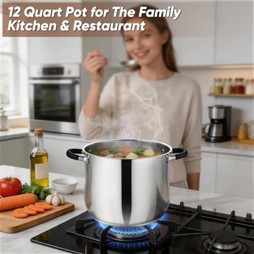 P&P CHEF 12 Quart Stainless Steel Stock Pot, Cooking Pot with Visible Lid