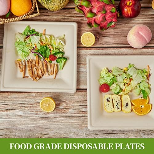 ECOLipak 100 Piecs Compostable Square Paper Plates, 10 inch, Nature