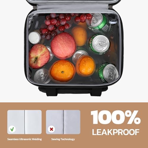Maelstrom 23L Insulated Lunch Box, Expandable Double Deck Cooler Bag