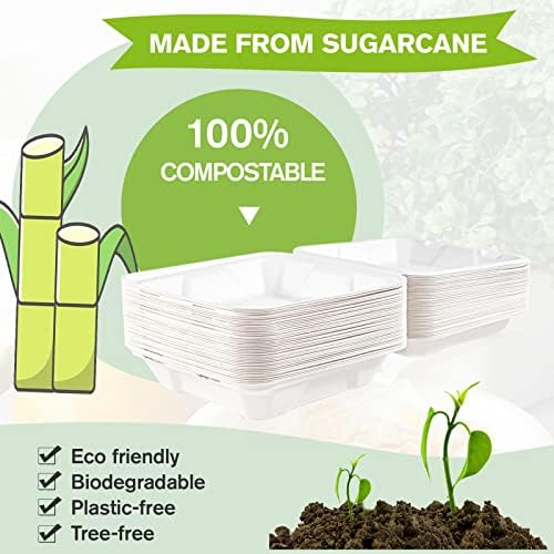 ECOLipak 50 Pack Compostable Clamshell Take Out Food Containers, 8 inch