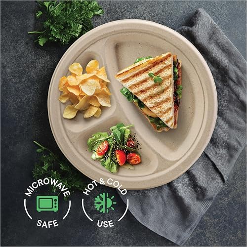 100% Compostable, 3 Compartment, Disposable Paper Plates [125-Pack] 9 Inch Heavy Duty Biodegradable Bagasse Sectional Lunch Trays + Dividers - Divided Platte Tray (PFAS Free) (BPA Certified)