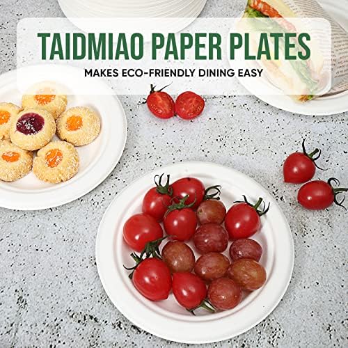 TaidMiao 6 inch Paper Plate 100 Pack Small Disposable, 100% Compostable