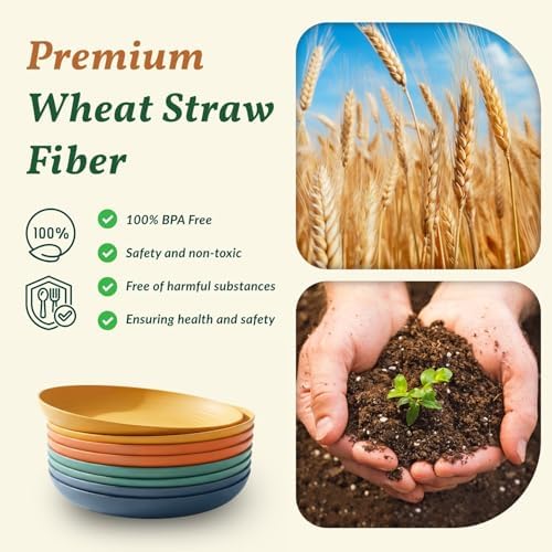 Homienly Deep Dinner Plates Set of 8 Alternative for Plastic Plates Microwave and Dishwasher Safe Wheat Straw Plates for Kitchen Unbreakable Salad Plate with 4 Colors (Colorful, 11 inch)