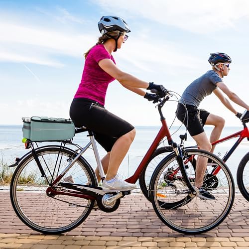 RAYMACE Bike Rear Rack Bag, Bike Trunk Cooler Bag