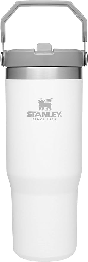Stanley IceFlow Flip Straw Tumbler with Handle 30 oz | Twist On Lid and Flip Up Straw | Leak Resistant Water Bottle | Insulated Stainless Steel |BPA-Free | Polar