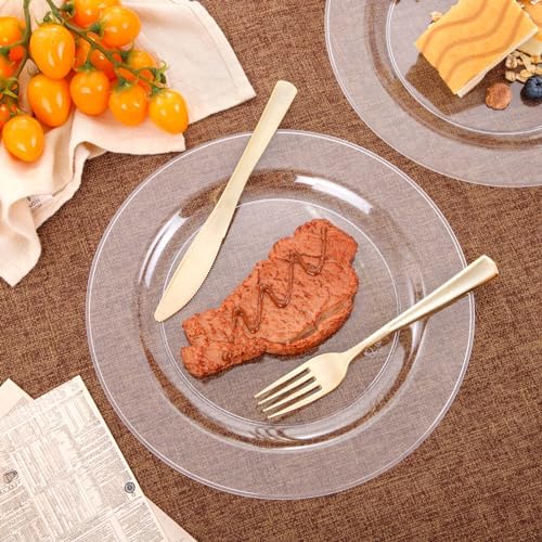 bUCLA 30PCS Clear Plastic Dinner Plates Disposable - 10.25" Heavy Duty Clear Plastic Plates for Party & Wedding