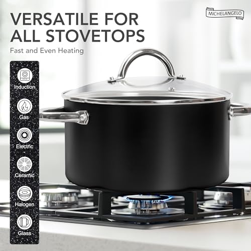 MICHELANGELO Stock Pot with Lid, Nonstick Cooking Pot, 6 Quart Soup Pot with Lid, Non Stick Pots with Stainless Steel Handle, Induction Compatible, Black