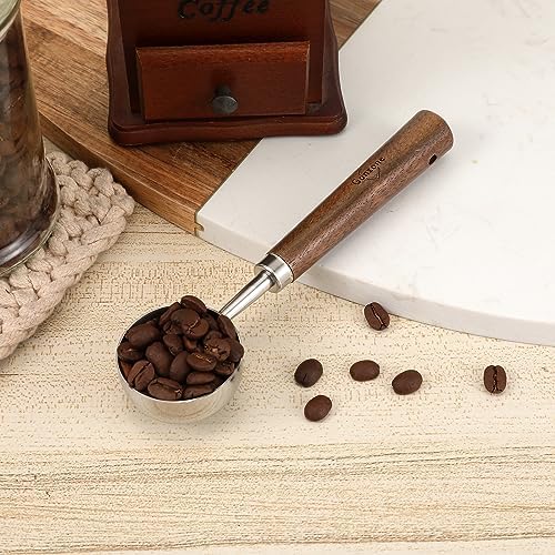 Vintage Coffee Measuring Spoon - 304 Stainless Steel, Coffee Scoop,10g Capacity, Walnut Handle - Perfect for Coffee, Tea, and More (Silver)