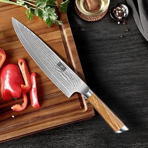 HOSHANHO Damascus Kitchen Knife Set 5PCS, Sharp Chef Knives Ergonomic Grip