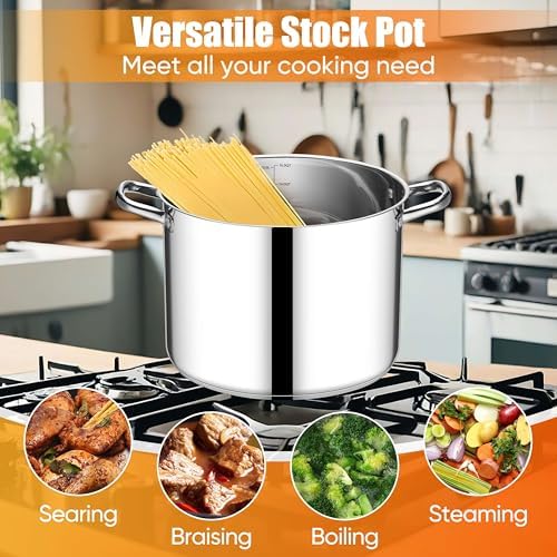 E-far 16 Quart Stainless Steel Pot, Induction Stockpot with Glass Lid