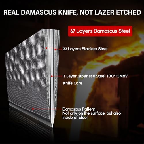 SHAN ZU Chef Knife, 8 Inch Damascus Steel Knife