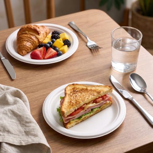 BESTVIP 7 Inch Compostable Sugarcane Paper Plates, White,100 Pack