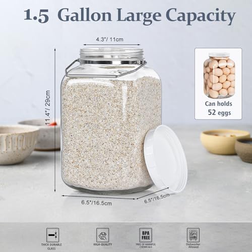 1.5 Gallon/5700 ML Glass Jar with Lid, Wide Mouth, Large Mason Jar, 2 Pack