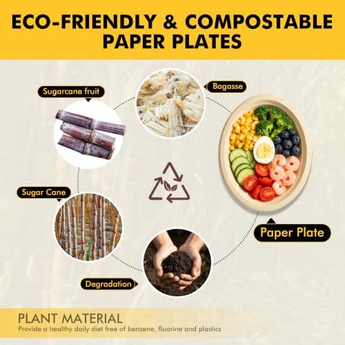 RACETOP Compostable Oval Paper Plates 12 Inch 125 Pack