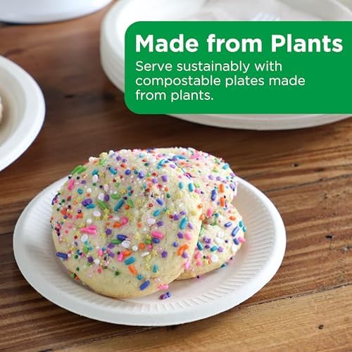 World Centric Compostable Round Paper Plates, 6 Inch (Pack of 250)