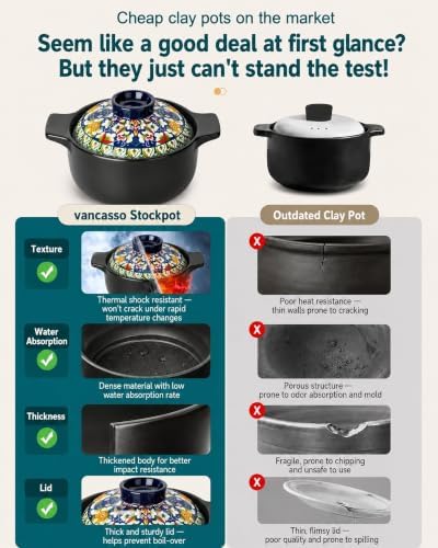 vancasso 3QT Ceramic Stock Pot with Lid, Nonstick Casserole Pot for Cooking