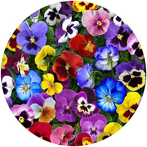 Andreas Silicone Jar Opener, Pansies – 6.25" Non-Slip Lid Gripper & Garlic Peeler, Dishwasher Safe, Multi-Use, Durable Silicone & Fabric, Made in the USA, JO-14