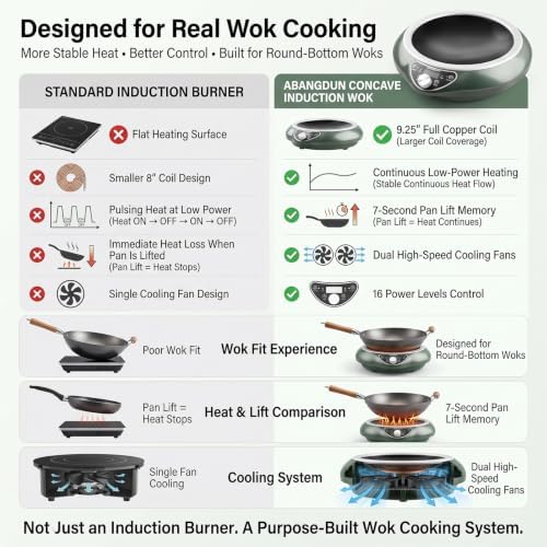 1700W Concave Induction Wok Cooktop, 120V Electric Wok Burner
