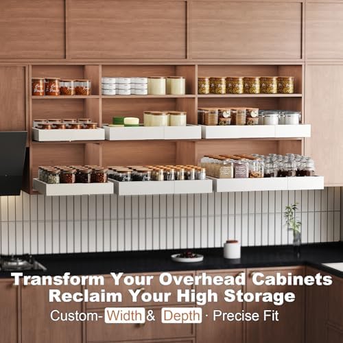 Fokyfok 2Pc Pull out Cabinet Organizer,11"-18"W,10"-13"D,Expandable