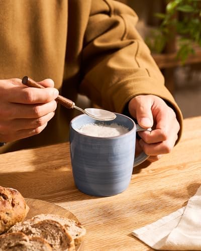 famiware Coffee Mugs Set of 4, Meteor 13 oz Ceramic Mug Cup Set with Handle
