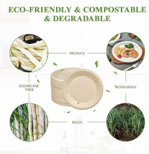 Vplus 125 Pack Compostable Bagasse Paper Plates 6 inch, Nature