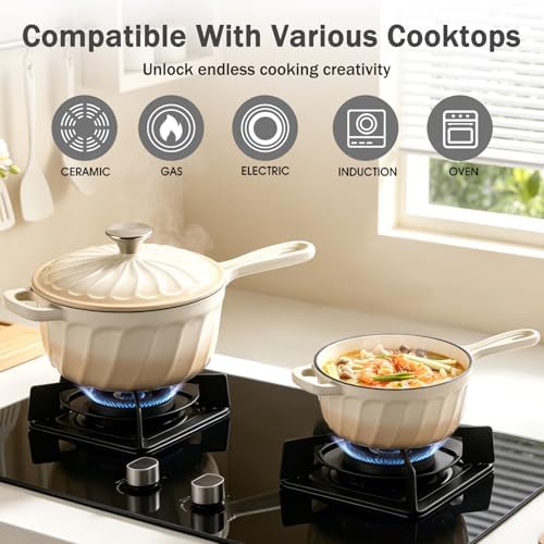 Enameled Cast Iron Sauce Pan with Lid, 1 Quart Saucepan with Lid