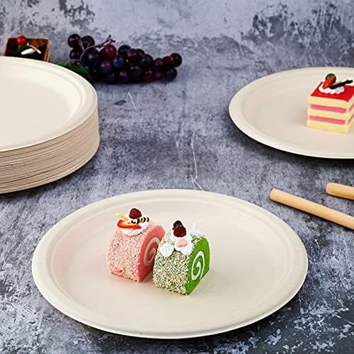 Vplus 150 Pack Compostable Bagasse Paper Plates 10.25 inch, Nature