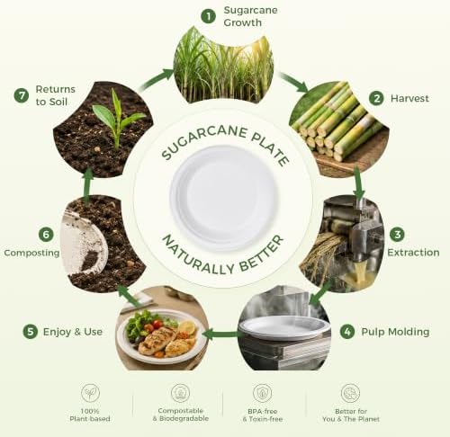 BESTVIP 7 Inch Compostable Sugarcane Paper Plates, White,100 Pack