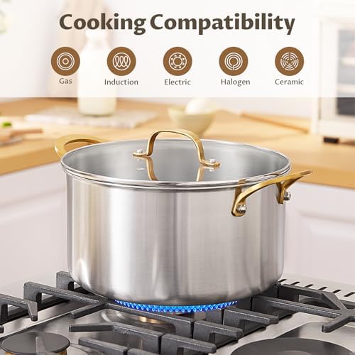 BEZIA 6 QT Stock Pot with Lid, Full Clad 3-Ply Stainless Steel Cooking Pot