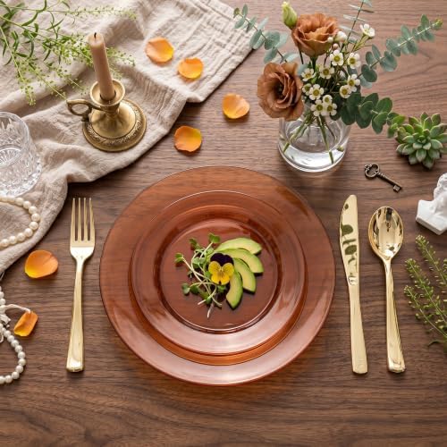 I00000 102 Pcs Amber Plastic Plates, Clear Brown Plastic Plates Disposable