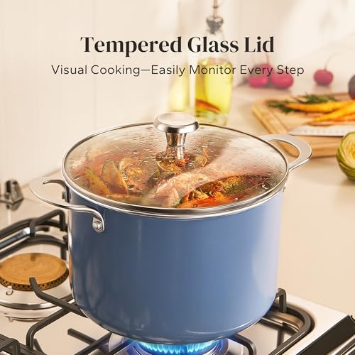 Redchef Nonstick Stock Pot with Lid 8 QT, Ceramic Large Pasta Pot for All Stovetops, Stockpot Cooking Soup Pot for Kitchen, PFOA Free, Sturdy Handles, Even Heating, Oven/Dishwasher Safe, Blue