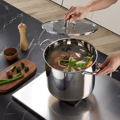 LIANYU 14 QT Stainless Steel Large Stock Pot,Heavy Stockpot with Glass Lid