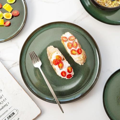 LERATIO Ceramic Dinner Plates Set of 6,10.5 Inch Reactive Glaze Plate Sets