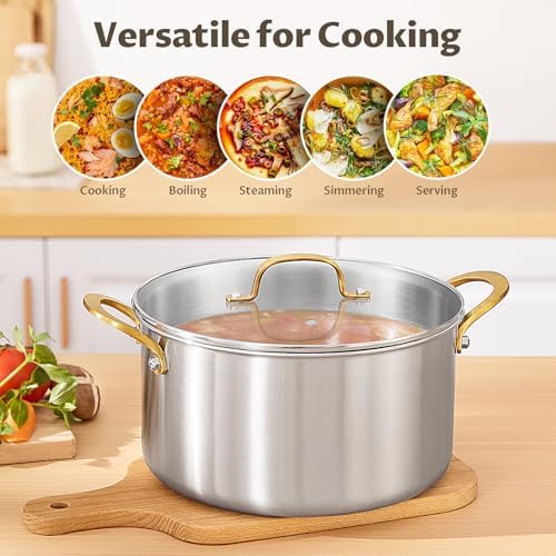BEZIA 6 QT Stock Pot with Lid, Full Clad 3-Ply Stainless Steel Cooking Pot