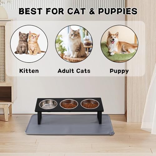 Summark Upgraded Elevated Cat Bowls with Food Mat,15°Tilted Stand Anti Vomiting Raised Cat Dishes for Food and Water,3 Stainless Steel Bowls for Cats and Puppy（Black）