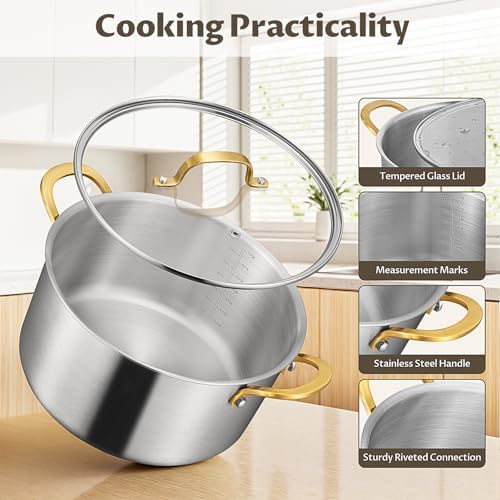 BEZIA 6 QT Stock Pot with Lid, Full Clad 3-Ply Stainless Steel Cooking Pot
