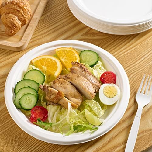 Vplus 150 Pack Compostable Bagasse Paper Plates 9 inch, White