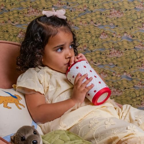 HydroJug Everyday Tumbler 14 oz, Ceramic-Lined Straw Cup, Ladybug