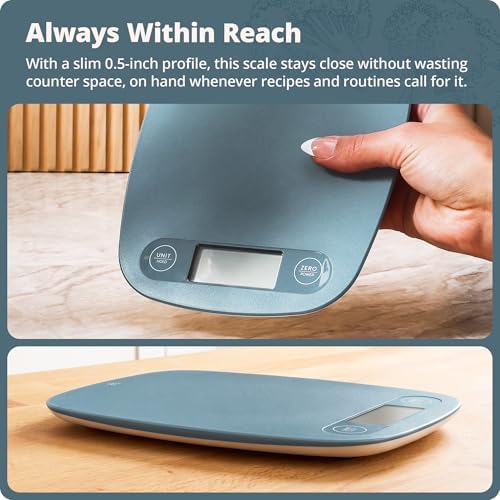 Greater Goods Food Scale, Slim & Compact Build, 1g Precision (Stone Blue)
