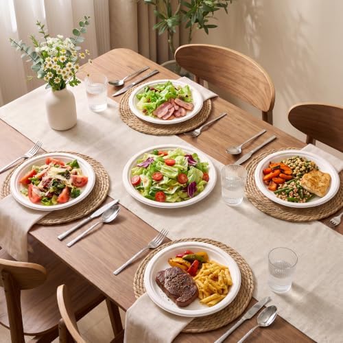 BESTVIP 10 Inch Compostable Sugarcane Paper Plates, White,100 Pack