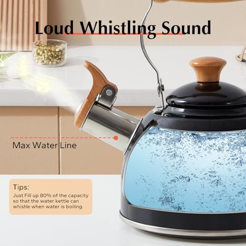 ROCKURWOK Whistling Tea Kettle for Stove Top, 1.6 Qt Small Tea Pot, Black