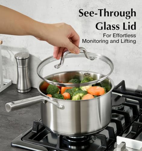 KOCH SYSTEME CS 4QT Stainless Steel Saucepan with Lid, Large Sauce Pan