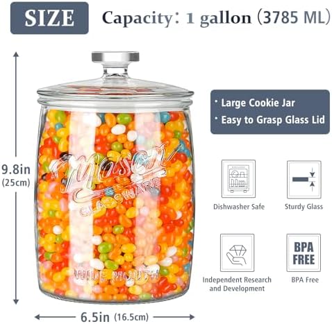 Folinstall 1 Gallon Glass Cookie Jar with Airtight Lid, Wide Mouth Canister