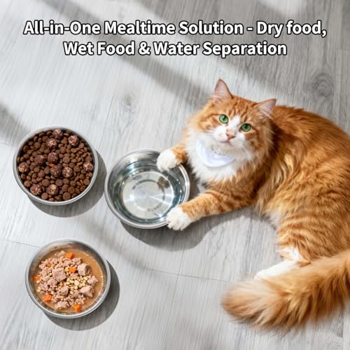 Tifanso 6PCS 5.6" Stainless Steel Whisker Friendly Cat Food & Water Bowls
