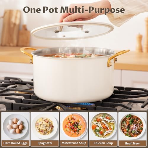 BEZIA 8 Quart Full Clad Try-Ply Stainless Steel Stock Pot, Induction Ready