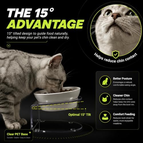 LivLab Mker Elevated Cat Bowls, Tilted Melamine, White, 2 Pack