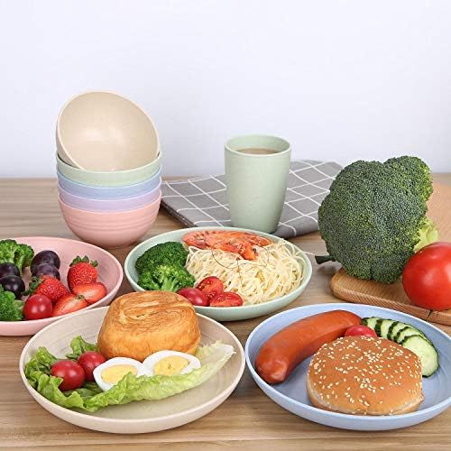 10 Inches Unbreakable Wheat Straw Plates - Reusable Plate Set - Dishwasher & Microwave Safe - Perfect for Dinner Dishes - Healthy, BPA Free & Eco-Friendly (10 Inches)
