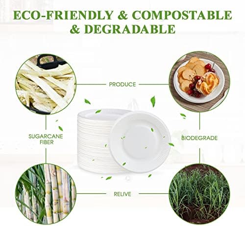 Vplus 100% Compostable Small Paper Plates, 200 Pack 7 Inch, Uncoated