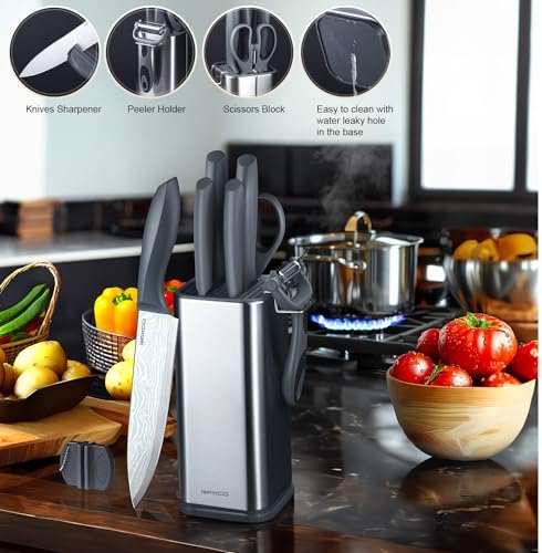 RAXCO Kitchen Knife Set,10-Piece Stainless Steel Knife Set with Block,Gray